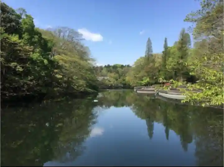 井の頭弁財天(大盛寺)の周辺