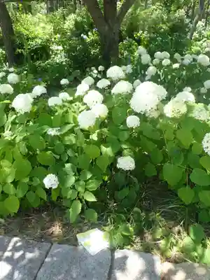 瀬戸神社(神奈川県)