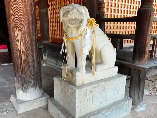 住吉神社の狛犬