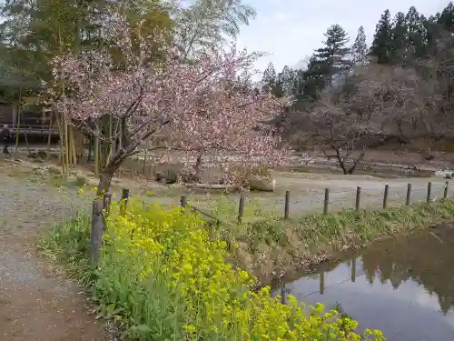 久昌寺の庭園