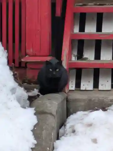 鹿角八坂神社(秋田県)
