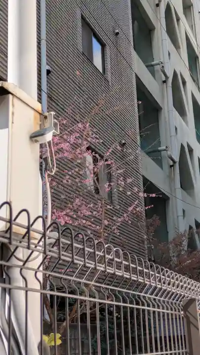 妙蓮寺(大阪府)