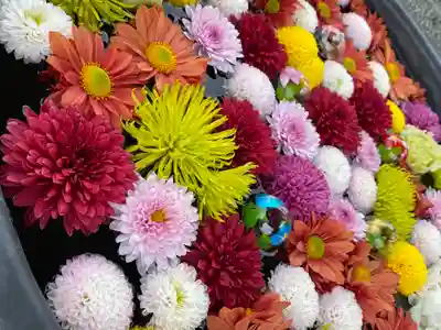 鹿島台神社の手水舎