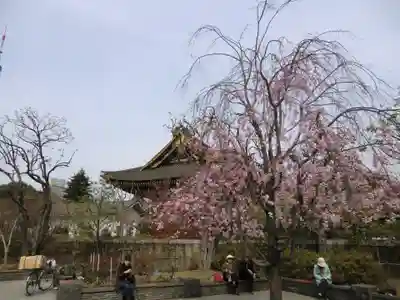 増上寺(東京都)