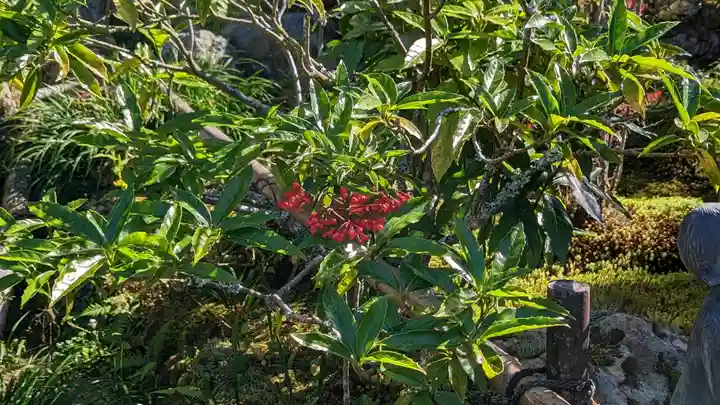 実光院(京都府)