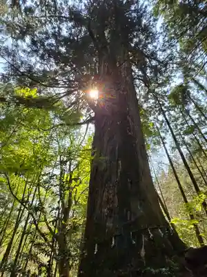 花園神社(茨城県)