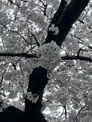 日蓮宗　浄運寺(東京都)
