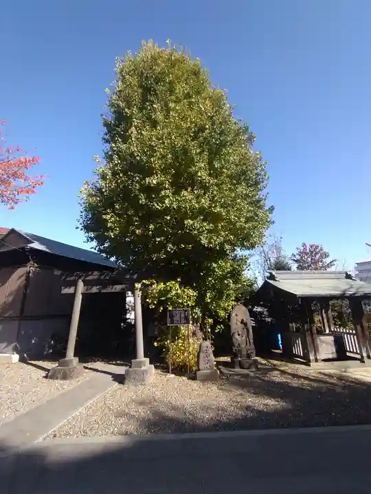 筑土八幡神社(東京都)