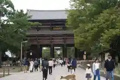 東大寺の山門