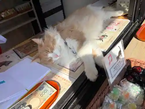 駒込妙義神社(東京都)