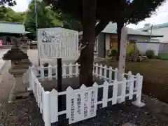 新曽氷川神社(埼玉県)