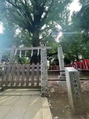 鬼子母神堂　(法明寺）(東京都)