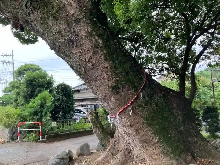 八幡神社(神奈川県)
