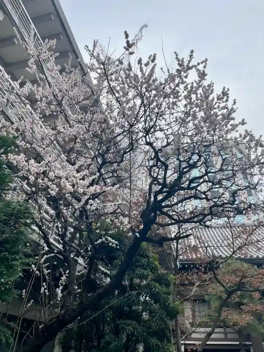 花岳院の{uncategorized: "未分類", other: "その他", undefined: "問題あり", building: "その他建物", grave: "お墓", sacred_gate: "鳥居", guardian: "狛犬", statue: "像", buddha: "仏像", history: "歴史", nature: "自然", garden: "庭園", animal: "動物", pagoda: "塔", temizu: "手水舎", mountain_gate: "山門・神門", sanctuary: "本殿・本堂", subordinate: "末社・摂社", art: "芸術", scenery: "景色", jizo: "地蔵", ema: "絵馬", goshuin: "御朱印", omikuji: "おみくじ", items: "授与品その他", amulet: "お守り", goshuincho: "御朱印帳", eats: "食事", festival: "お祭り", votive_dance: "神楽", shichigosan: "七五三参", wedding: "結婚式", experience: "体験その他", initially: "初詣", around: "周辺", anti_infection: "感染症対策"}