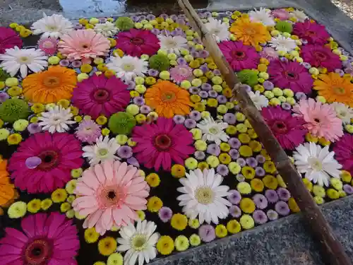 高円寺氷川神社の手水舎