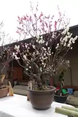 菅原天満宮（菅原神社）の建物その他