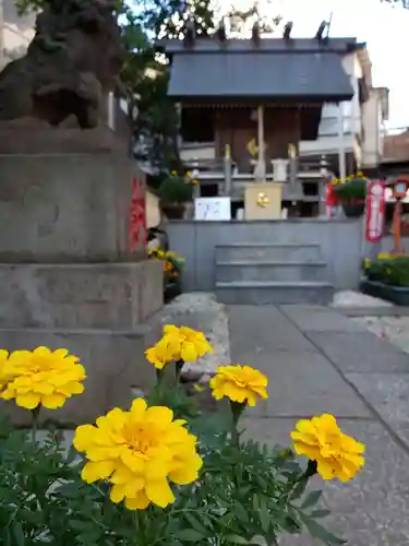 高円寺氷川神社のその他建物