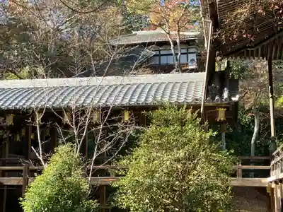 光明寺（粟生光明寺）(京都府)