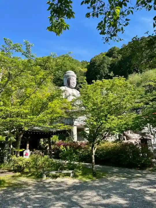 南法華寺(壷阪寺)の{uncategorized: "未分類", other: "その他", undefined: "問題あり", building: "その他建物", grave: "お墓", sacred_gate: "鳥居", guardian: "狛犬", statue: "像", buddha: "仏像", history: "歴史", nature: "自然", garden: "庭園", animal: "動物", pagoda: "塔", temizu: "手水舎", mountain_gate: "山門・神門", sanctuary: "本殿・本堂", subordinate: "末社・摂社", art: "芸術", scenery: "景色", jizo: "地蔵", ema: "絵馬", goshuin: "御朱印", omikuji: "おみくじ", items: "授与品その他", amulet: "お守り", goshuincho: "御朱印帳", eats: "食事", festival: "お祭り", votive_dance: "神楽", shichigosan: "七五三参", wedding: "結婚式", experience: "体験その他", initially: "初詣", around: "周辺", anti_infection: "感染症対策"}