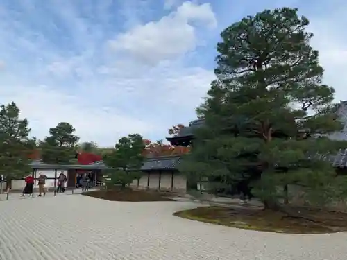 天龍寺の庭園