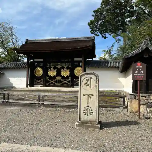 醍醐寺(京都府)