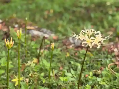 仏隆寺(奈良県)