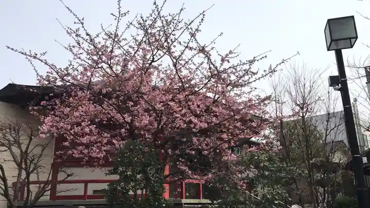 龍眼寺(萩寺)の自然