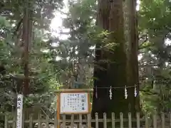 高千穂神社(宮崎県)