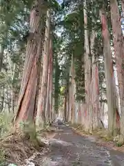 戸隠神社奥社(長野県)