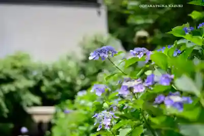 太平山神社(栃木県)