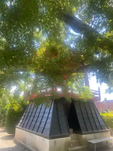 大蔵院(群馬県)