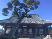 荘厳寺の本殿・本堂