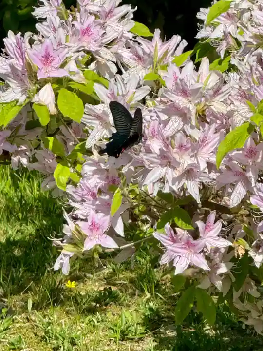 高台寺(高台寿聖禅寺・高臺寺)(京都府)