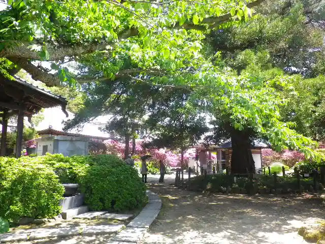 安養院 (田代寺)の庭園