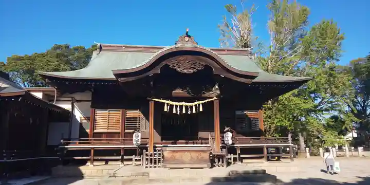 葛飾八幡宮の本殿・本堂