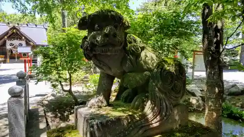 比布神社の狛犬