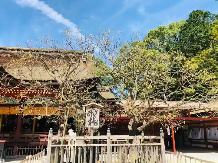 太宰府天満宮のその他建物