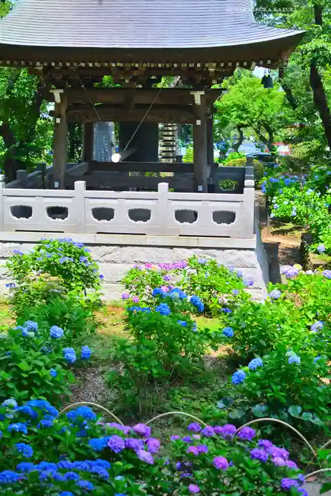 妙楽寺(神奈川県)