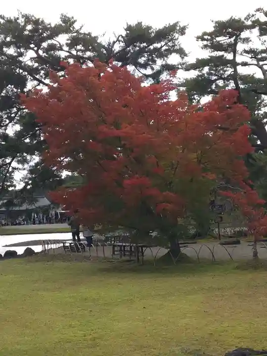 毛越寺の御朱印