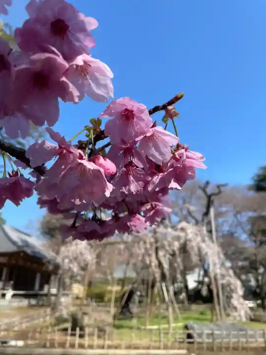 弘法寺(千葉県)