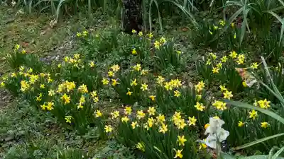上宮天満宮(大阪府)