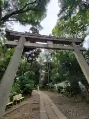 代々木八幡宮の鳥居