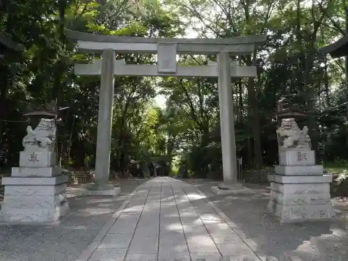 谷保天満宮の鳥居