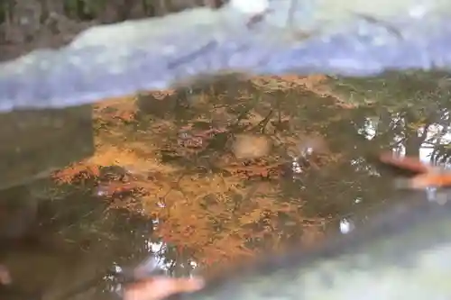鹿島大神宮の手水舎