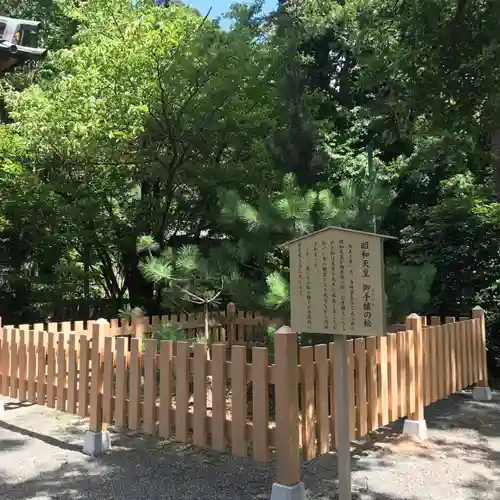 伊豆山神社の自然