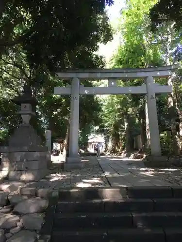 代々木八幡宮の鳥居