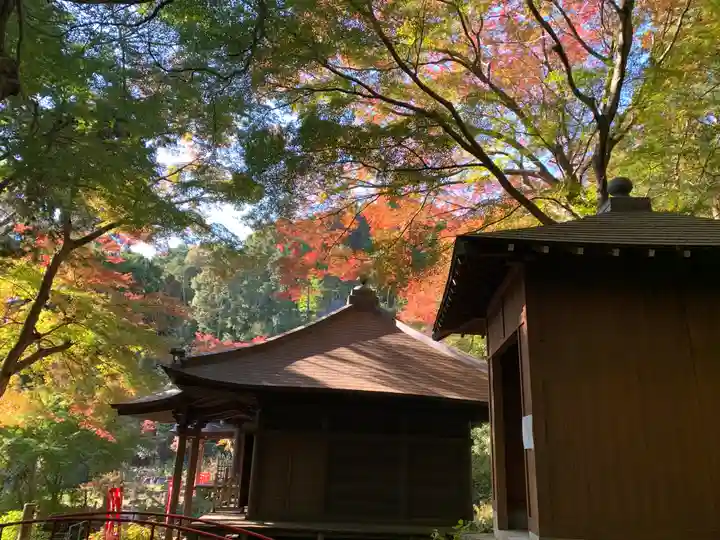 普門寺(切り絵御朱印発祥の寺)(愛知県)