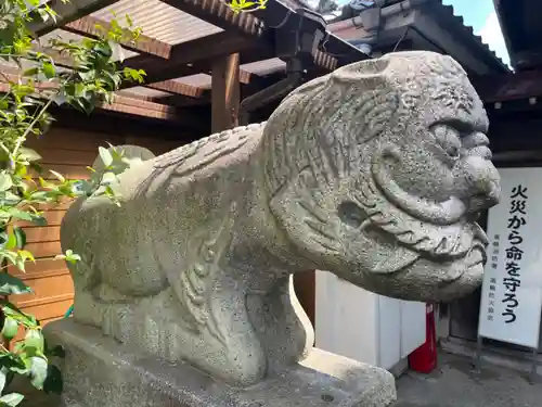 承教寺の狛犬