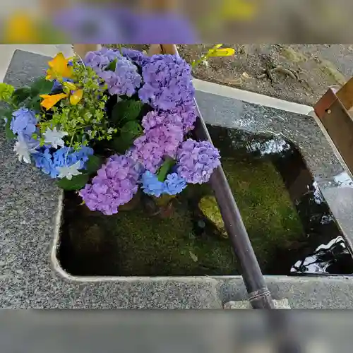 高司神社〜むすびの神の鎮まる社〜の手水