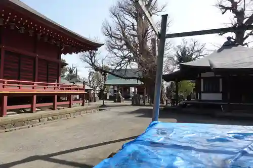 勝福寺(神奈川県)